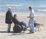 Strandspaziergang mit Hund